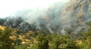 آخرین اقدامات برای مهار آتش جنگل‌های «نارک» گچساران
